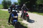 dsc01435_small.jpg