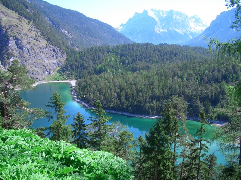 tannheimertal07033.jpg