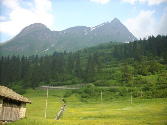 dscn5267.jpg