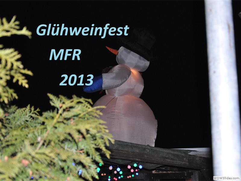 2013_1 glw_f